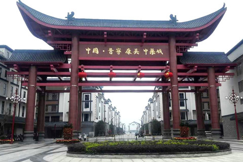 全国最大的贵细中药材普宁康美中药城7月1日开业