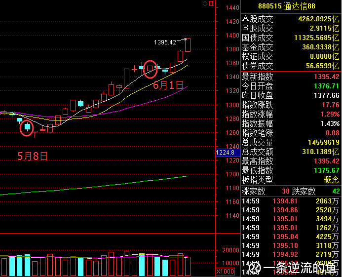 皇上还记得大明湖畔的白马股吗