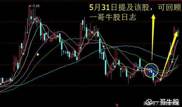 一哥牛股: 特斯拉将在上海建厂,合作机会将会花