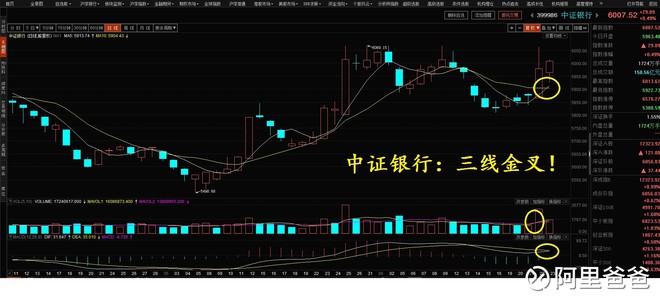 阿里爸爸: 中证银行上证50中证100上证180沪深