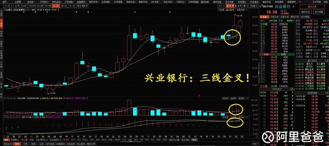 阿里爸爸: 中证银行上证50中证100上证180沪深