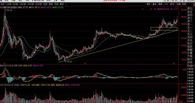 2017年6月第3周周记--熊市就是白马股不断上涨