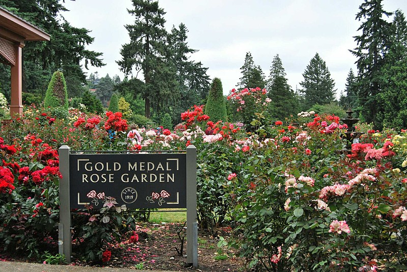 波特兰国际玫瑰园
