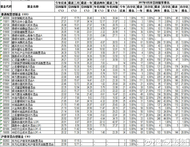 小匠人投资: 上半年收益率超过20%的公募基金