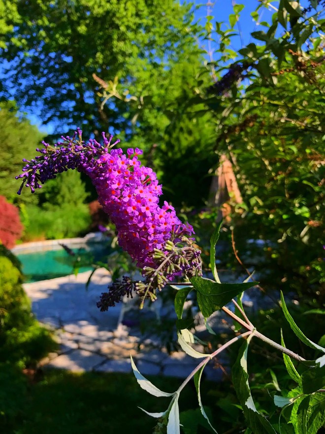 陈韵:挣脱你的金手铐 连续四年,华尔街基金经