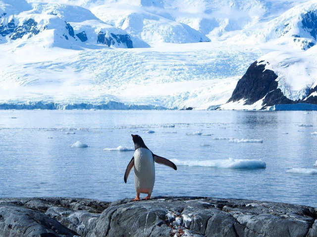 国战略重心转移,中国统一… 我们对自然界的整