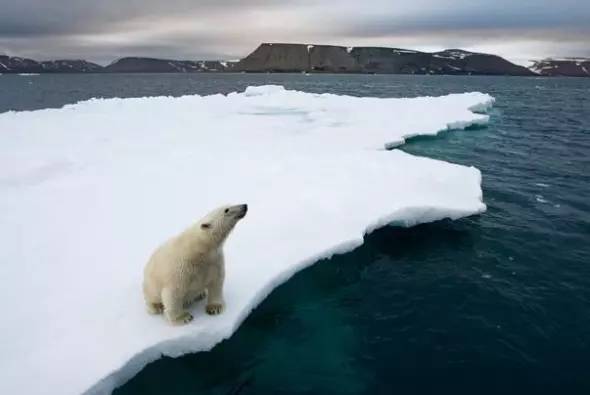 冰川思想库: 气候变暖,将影响到俄罗斯再崛起,美