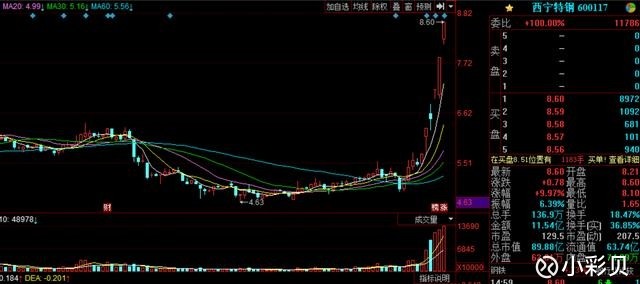 小彩贝: 人造涨价概念股票镁砂,将成股市最闪