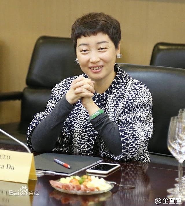 待夫出狱,黄光裕老婆撑起千亿国美