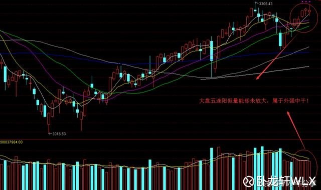 炒作人口危机_人口普查(3)