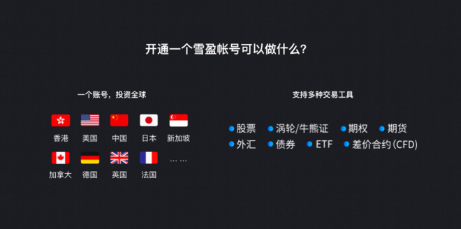 证券: 雪盈证券简介 公司介绍 雪盈证券是雪球境