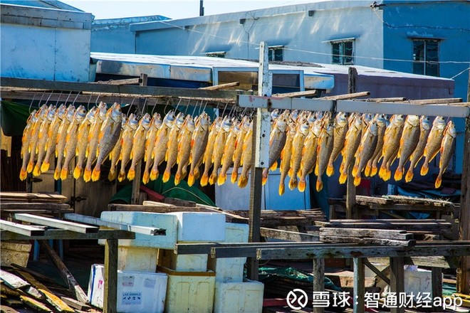 智通财经app: 港股行情好,选择牛股才能跑赢指