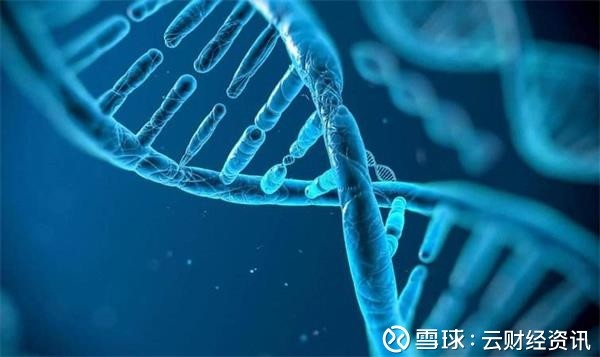 王石头科技: 基因疗法概念股上市公司名单一览