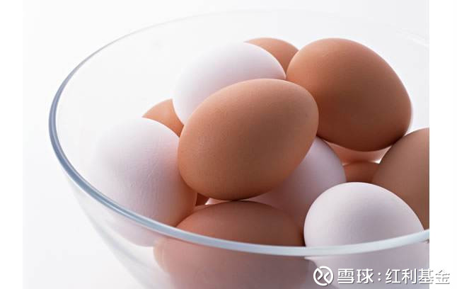 红利基金: 【选鸡还是选蛋?】买房还是买股?看