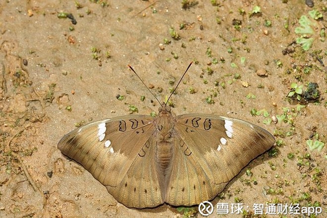 声与舜宇的股价是否也该休息了 我的自选股名