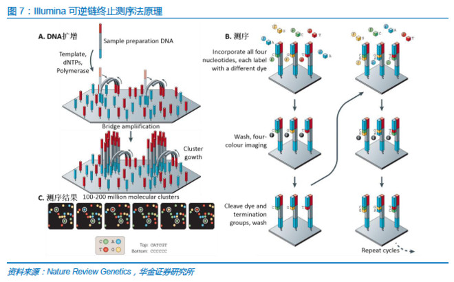 桑格测序法原理简洁【相关词_桑格测序法】 - 随意优惠券