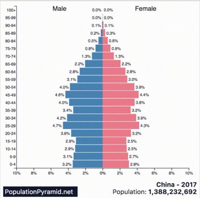 人口结构问题_人口问题(3)