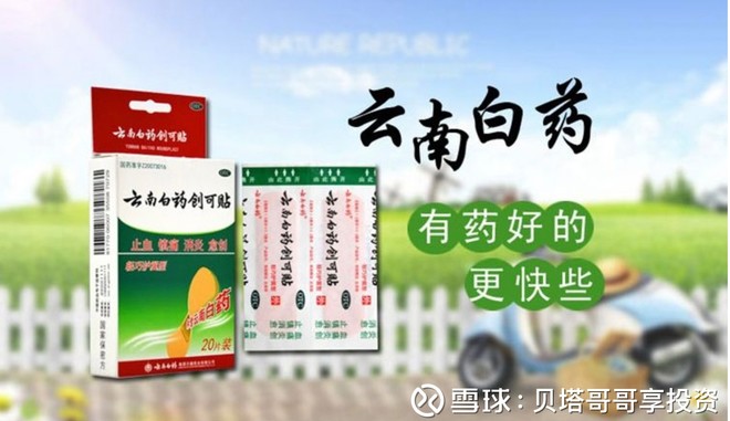 收入证明_基本药物收入比例(3)