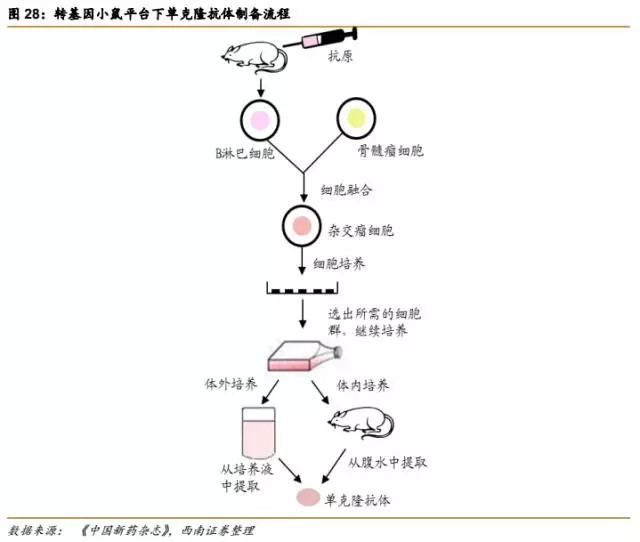 人口容量的相对性_人口容量思维导图(3)