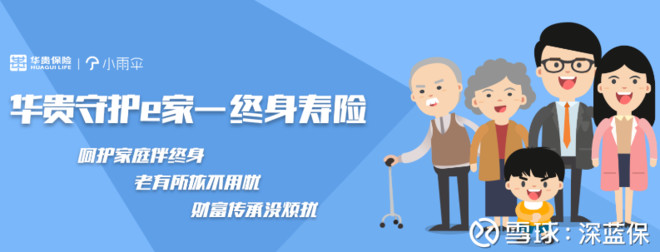 深蓝保: 干货分析:如何挑选定期寿险,哪款好?1