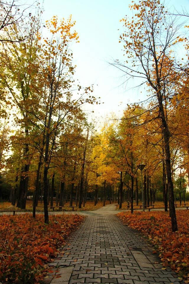 永远的安全边际: 如何看待中医药股票的投资价