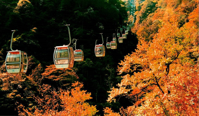 井冈山旅游景点大全_井冈山旅游收入(2)