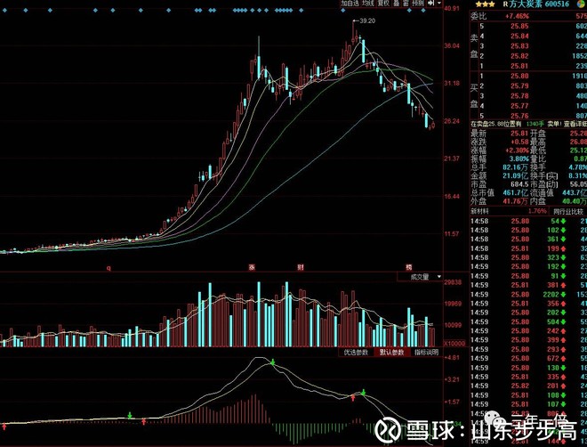 金禾实业老总_金禾实业杨乐妻子照片(2)