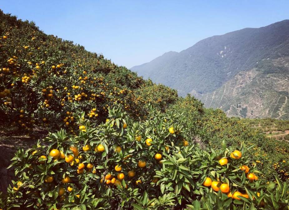 股社区: 全国都被宁夏吓了一跳 事情发生在周五