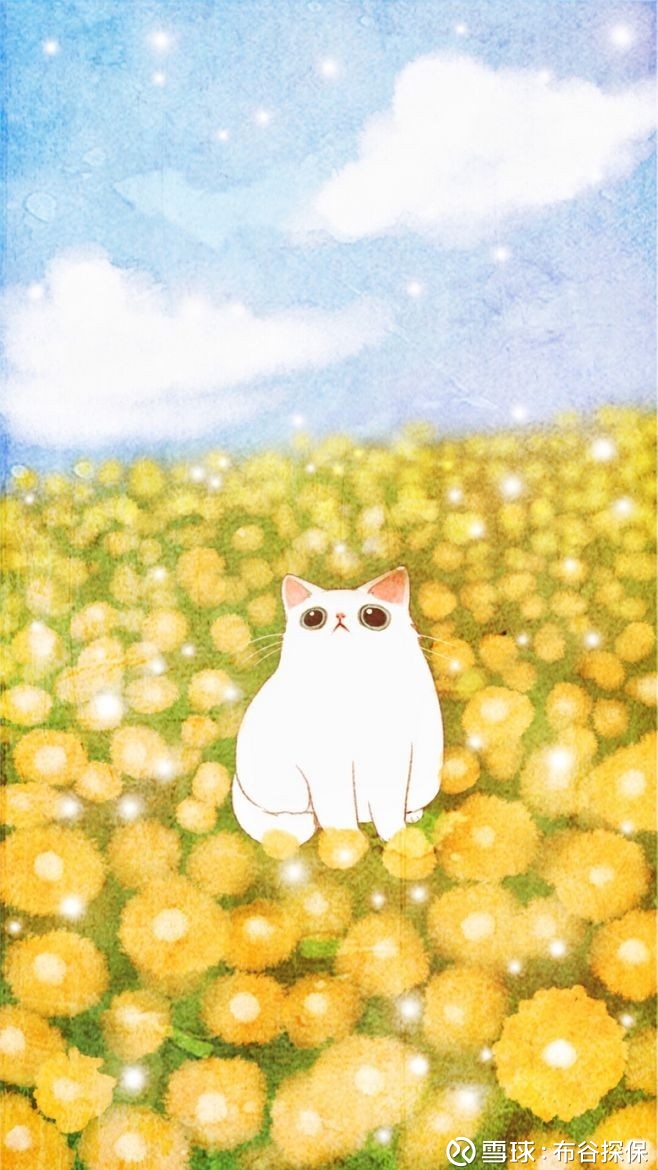 布谷探保: 你买的保险赔不赔,出险时间很重要!