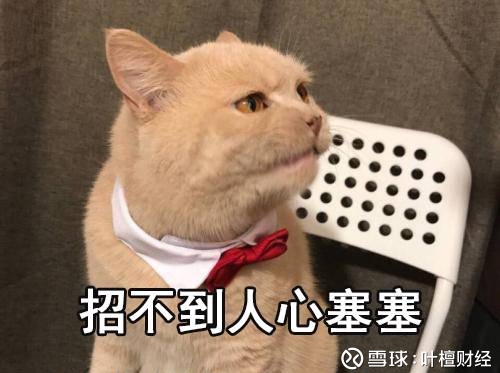 叶檀财经: 毕业生十大宜居宜业城市丨合肥:二线