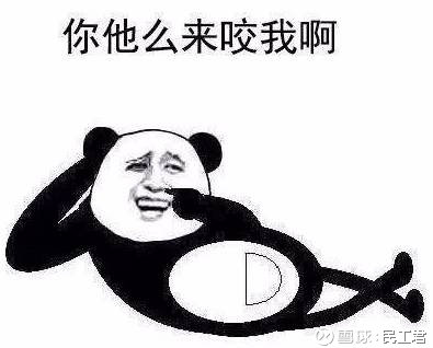 15f713cb04671713fcbe1b13.jpg