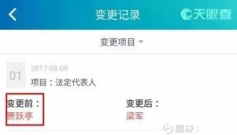 财务支出收入表格模板_财务收入稽核 日审(2)