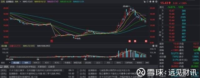 远见财讯: 盐湖股份股价翻倍业绩巨亏,锂想很