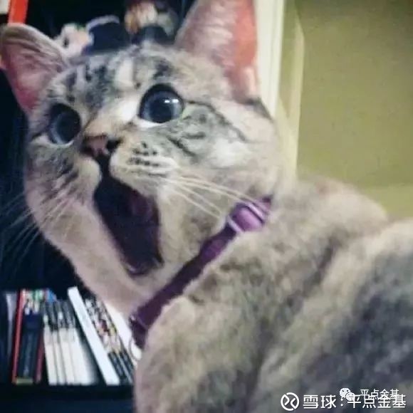 平点金基: 乐视网利空成了连续剧,有它的基金很