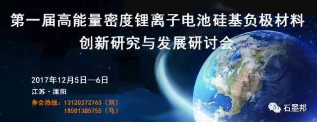 刘荣华: 溧阳硅基负极材料会议发布前100家报