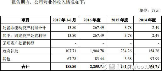 收入证明_营业收入 补贴收入(3)
