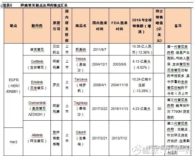 收入证明_预测未来收入(2)