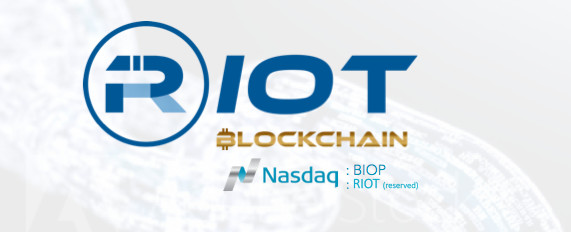 陈达美股投资: 暴动骚乱的区块链,动物世界的食