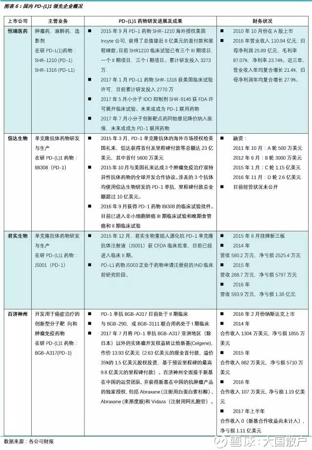 收入证明_药物研发收入
