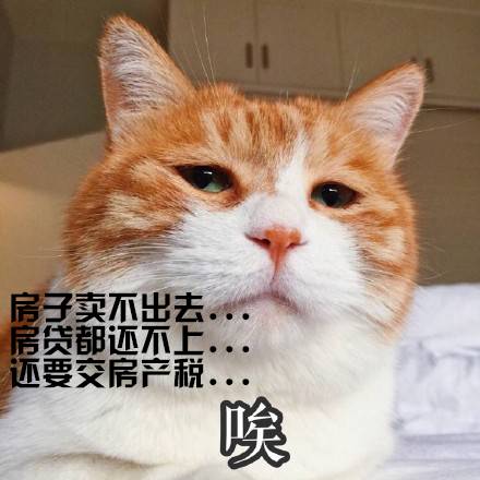 叶檀财经: 房产税2020杀到 房价到底怎么样? |