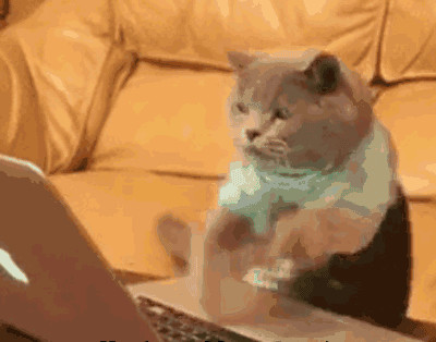 呱呱财经: 节后开门红,关注三大类机会! 呱呱财