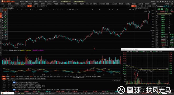 户操作反思之扬农化工 2016年得幸追随涛哥(r