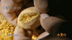 看了这部纪录片,突然想念那个让我“多吃水果”的人 看了这部纪录片,突然想念那个让我“多吃水果”的人