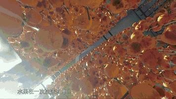 看了这部纪录片,突然想念那个让我“多吃水果”的人 看了这部纪录片,突然想念那个让我“多吃水果”的人