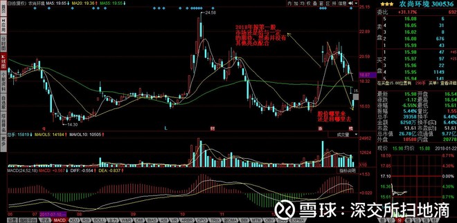 深交所扫地滴: 年报关口一招锁定胜局 先普及个