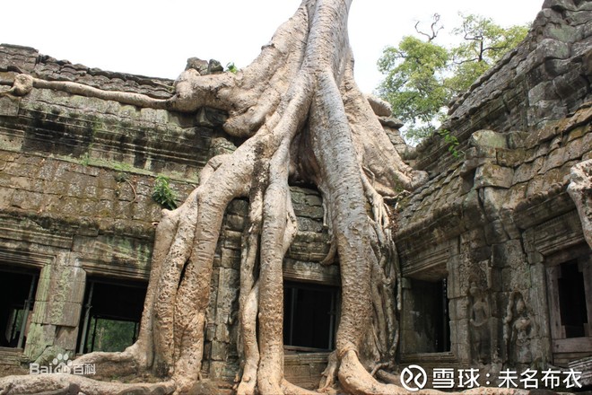 投资体系3:分散持股 今天看了BBC的纪录片《