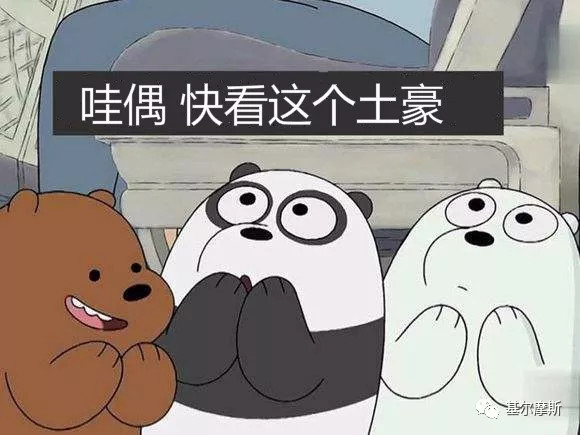 基尔摩斯: 成立13年累计涨幅1302.07%,博时主