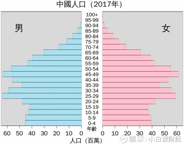 2019年人口年龄结构图_中国人口年龄结构分布图(2)