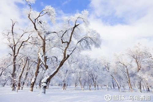 龟赛跑: 暴跌后的沉思--如何观察市场 2018年A