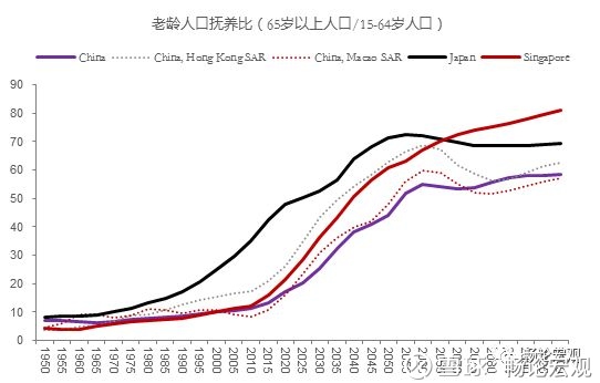 新加坡 人口老龄化_新加坡人口结构图(3)